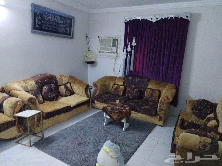 4-piece seating chairs with armrests (supports)64547958438785113