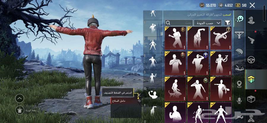 حساب ببجي للبيع64548322911106111