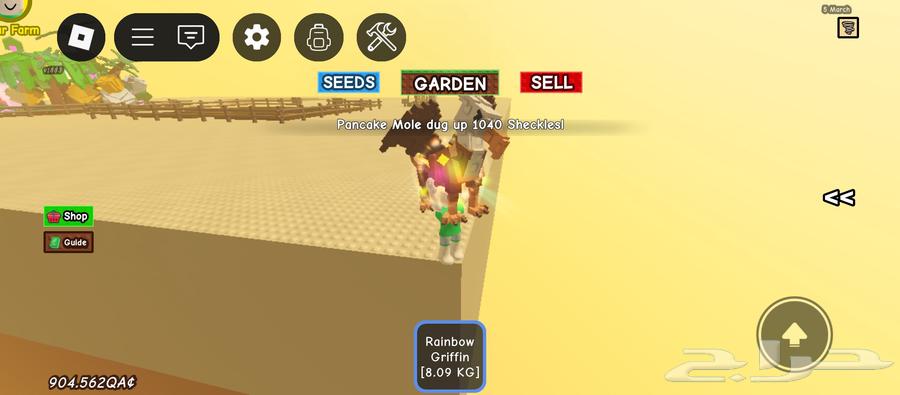 صقر رينبو عمره 7664551919384066110