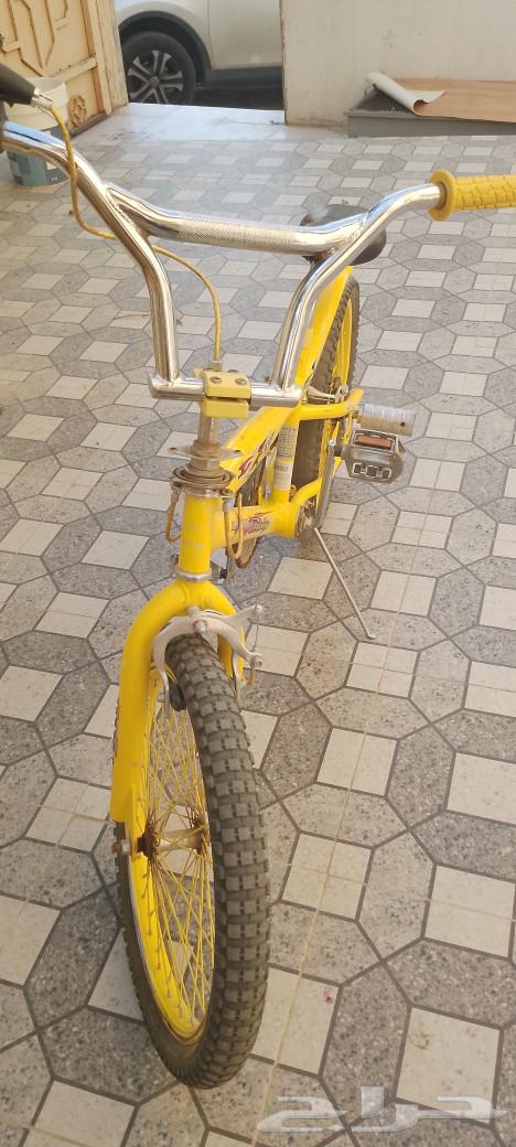 سيكل كوبرا اصفر على السوم64548392848898112