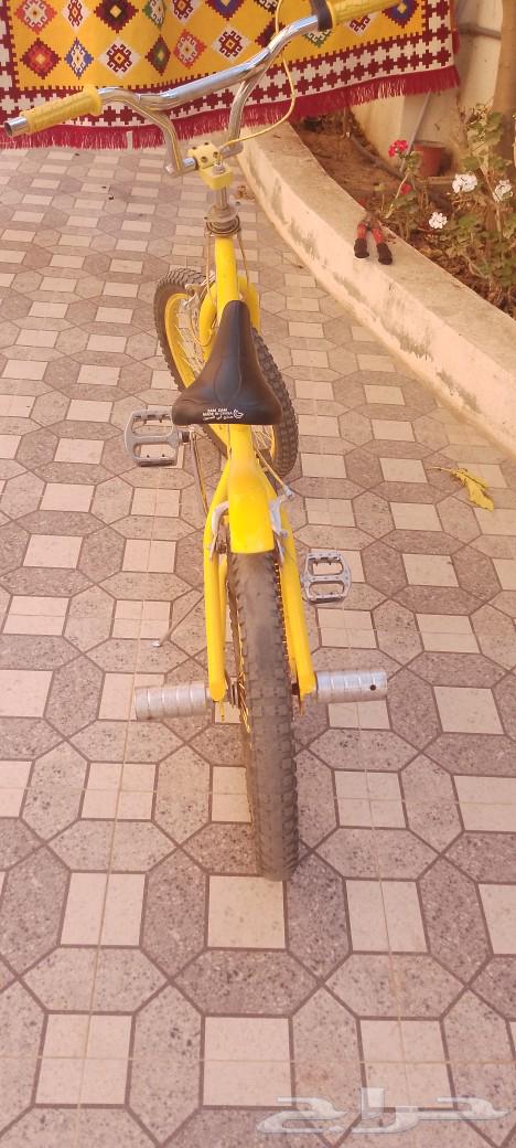 سيكل كوبرا اصفر على السوم64548392848898111