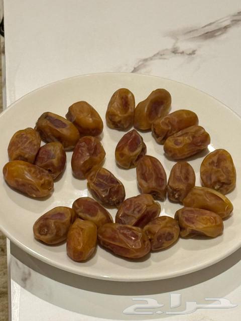 He succeeded who remembered Allah and sent blessings upon Muhammad type: Khlas weight64544877430530112