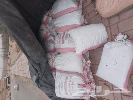 حلال شواء64546237238275111