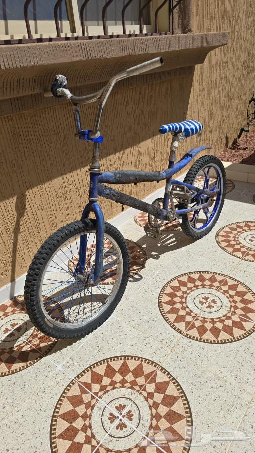 سيكل كوبرا ازرق64550732897154111