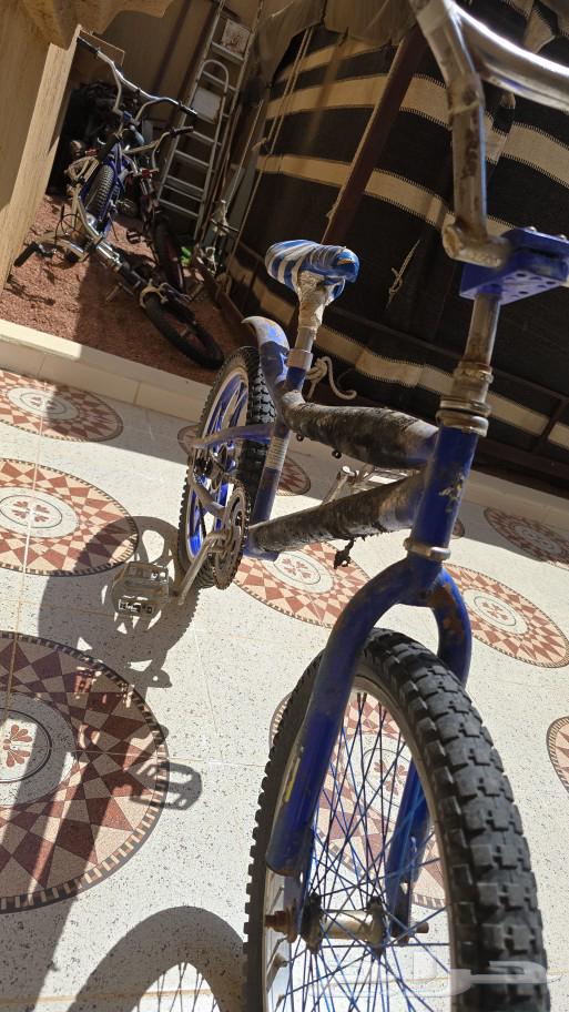 سيكل كوبرا ازرق64550732897154112