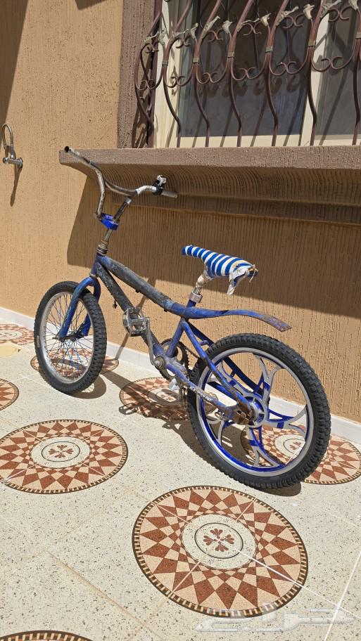 سيكل كوبرا ازرق64550732897154110