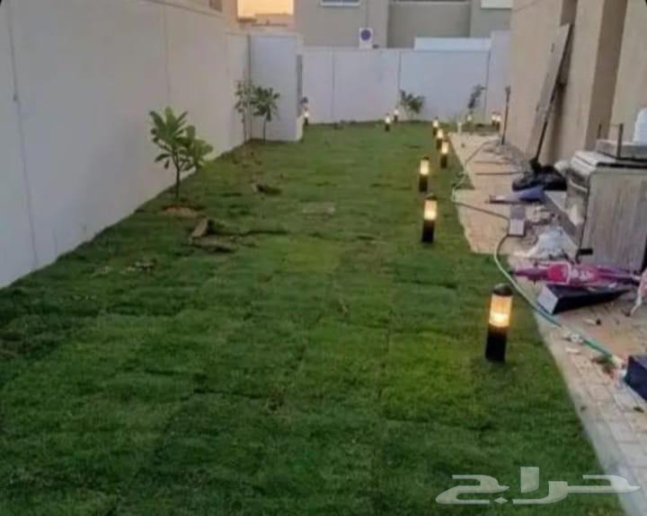 Landscaping, installation of irrigation networks and artificial grass, and palm tree treatment64250482640387113