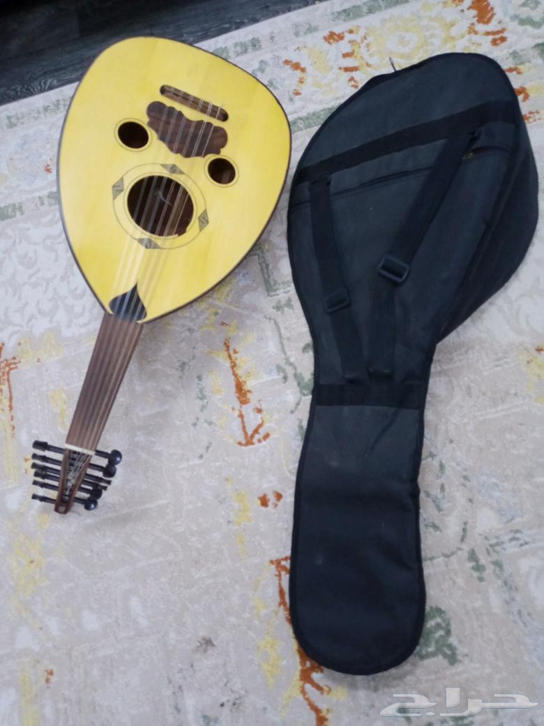 عود للبيع على سوم64550113734787112