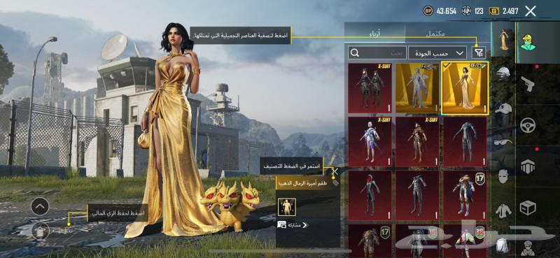 حساب ببجي للبيع64545019597697111