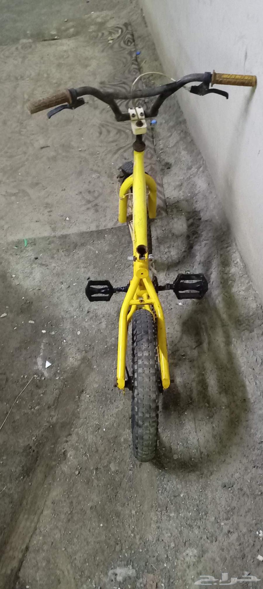 سيكل كوبرا مقاس 1664552746811010110