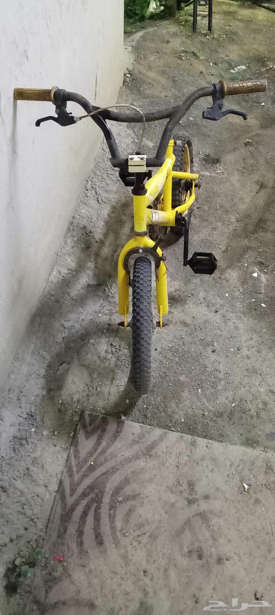 سيكل كوبرا مقاس 1664552746811010111