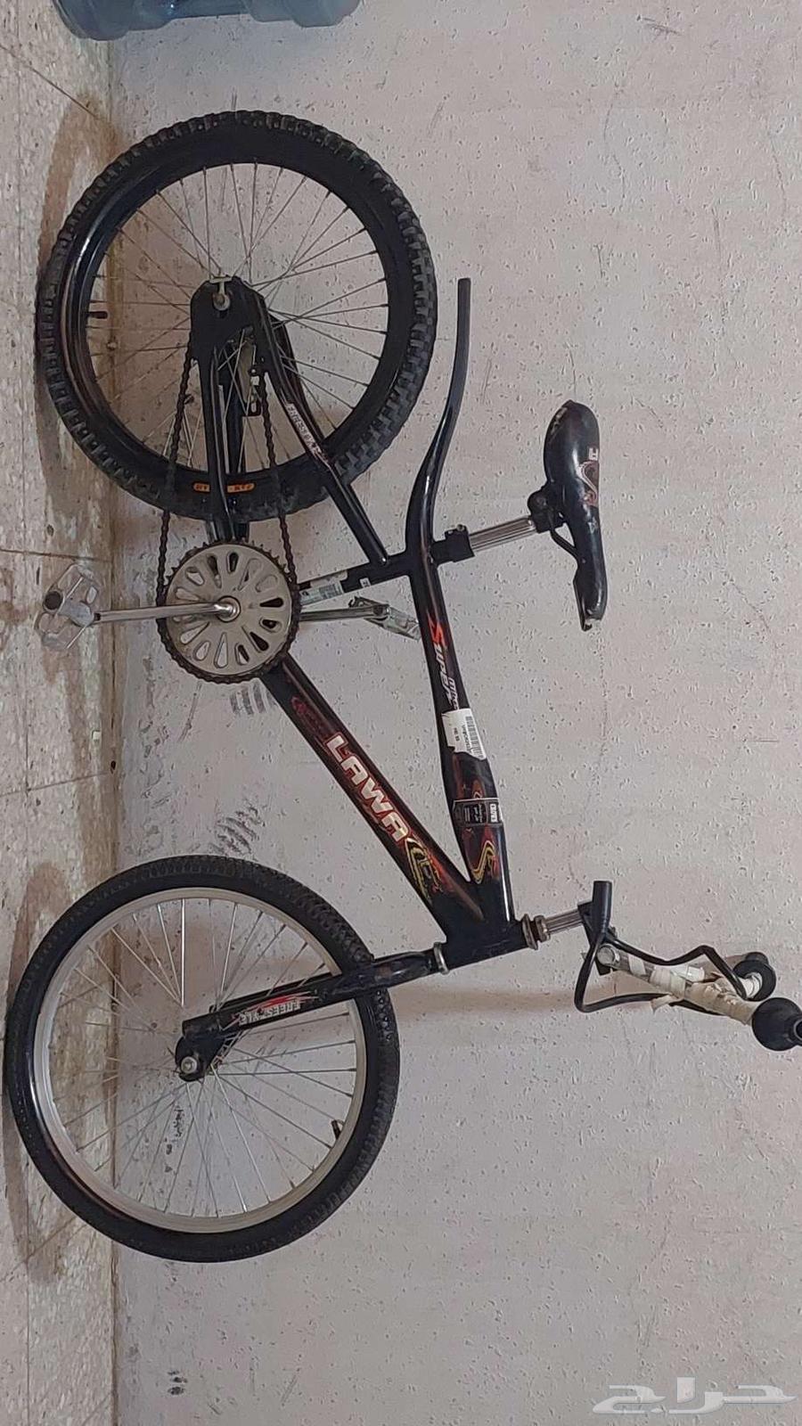 Cobra size 2064548140470786112