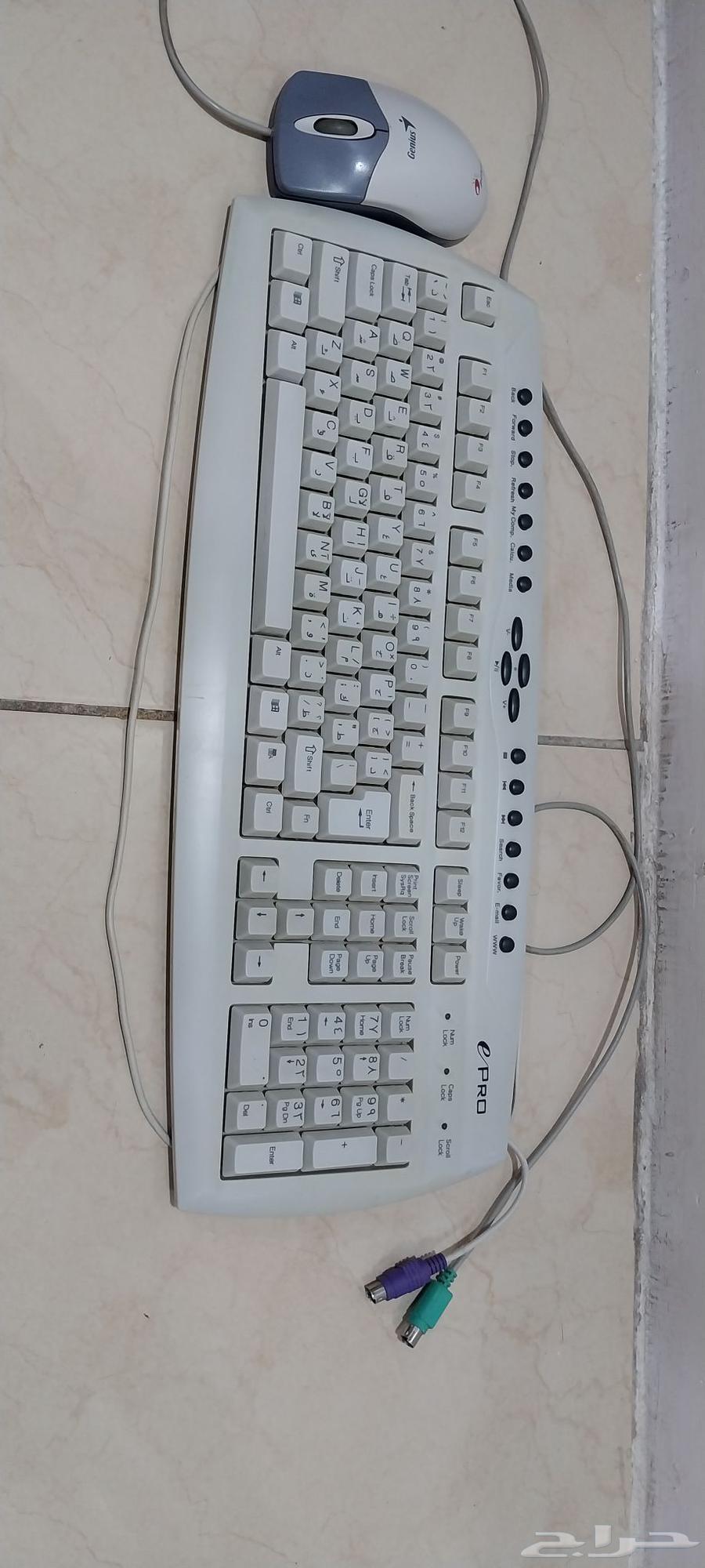 للبيع على السوم64543973627394113