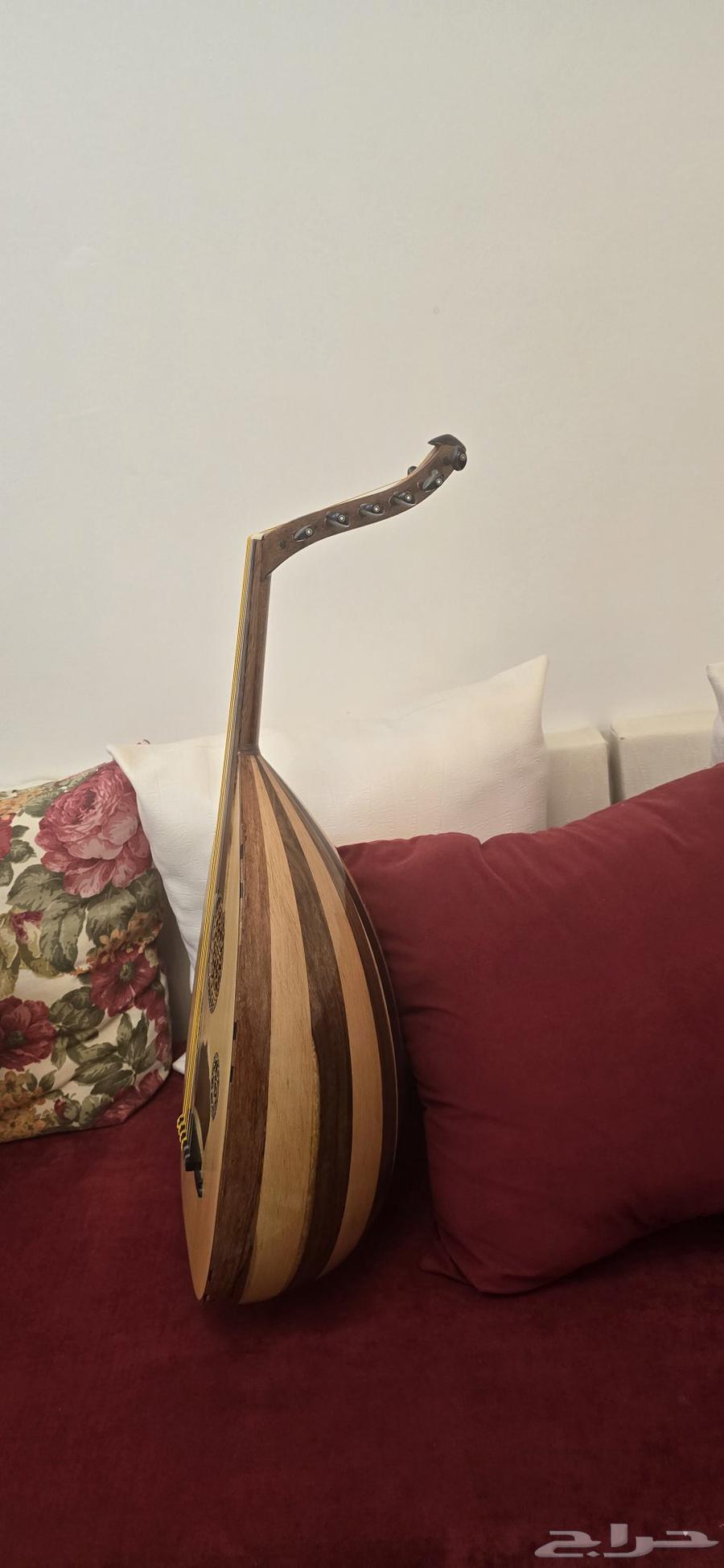 عود للبيع64543860539138111