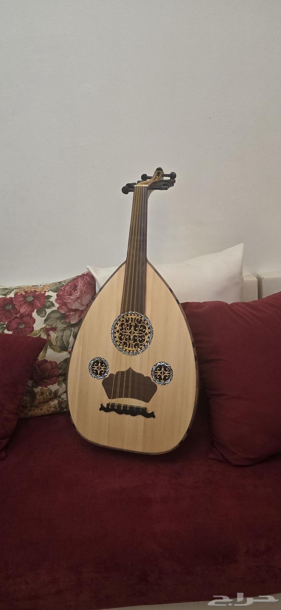 عود للبيع64543860539138110