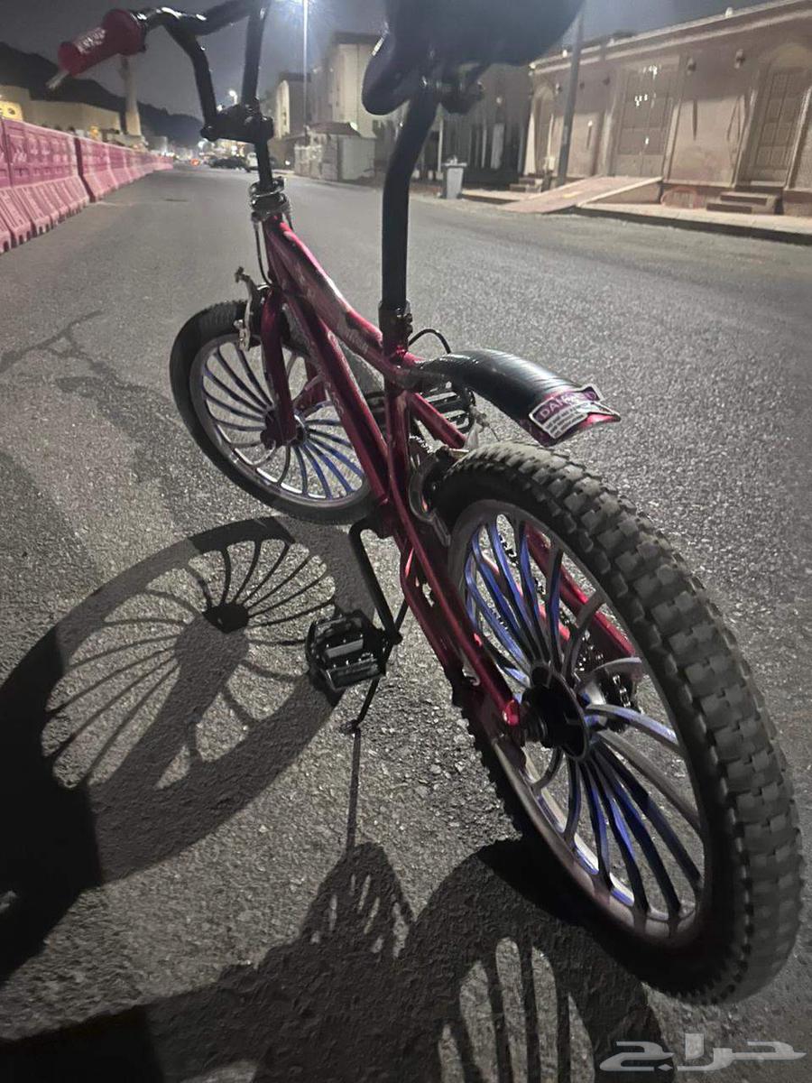 Cobra Plus Bicycle Size 2064544891607426112