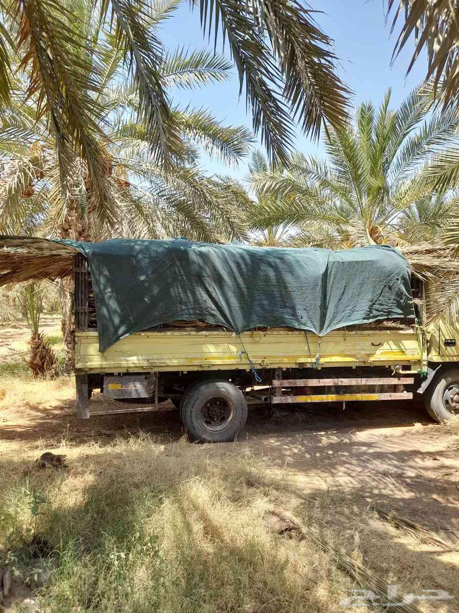 سعف نخيل للبيع64545644871683111