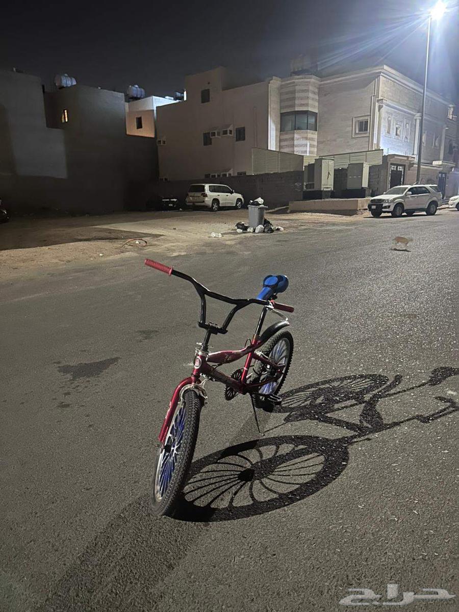 Cobra Plus Bicycle Size 2064544891607426110