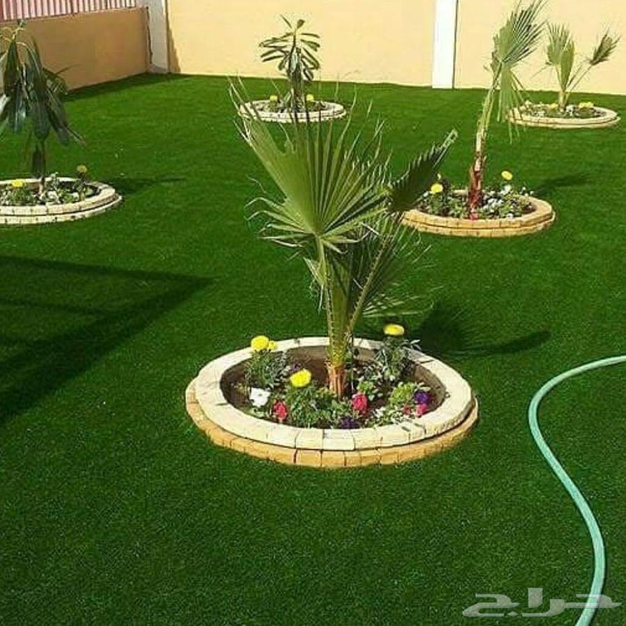 تنسيق حدائق الشرقيه64250667848961111