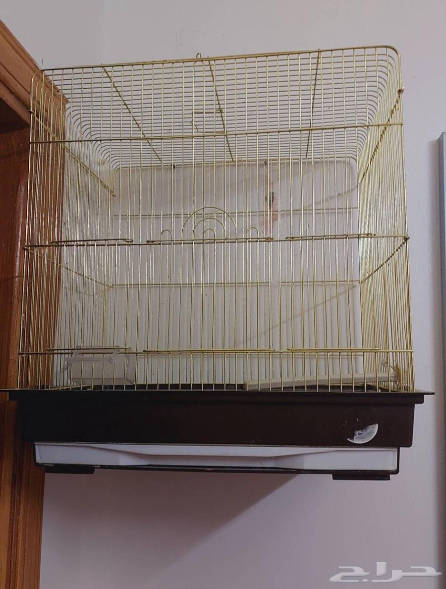 قفص ببغاء وقفص كناري64556441343489111