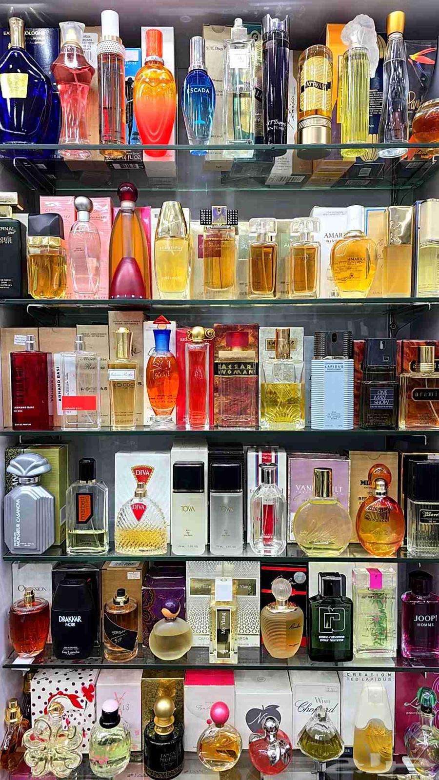 Old perfumes at the lowest prices64562249515267110