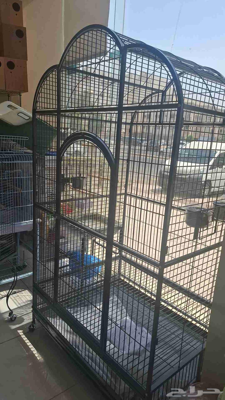 اقفاص ببغاء مكاو قالا بلوفرنتد سلفر كاسكو دبل هد64529655439490110