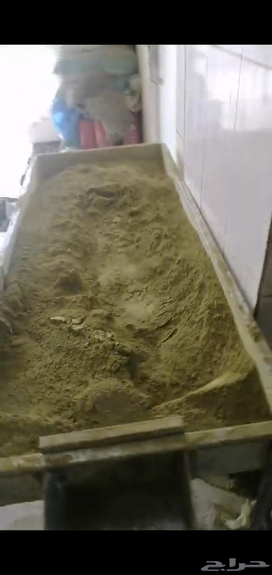 Hana Jabali Number One on Condition64562319839489110