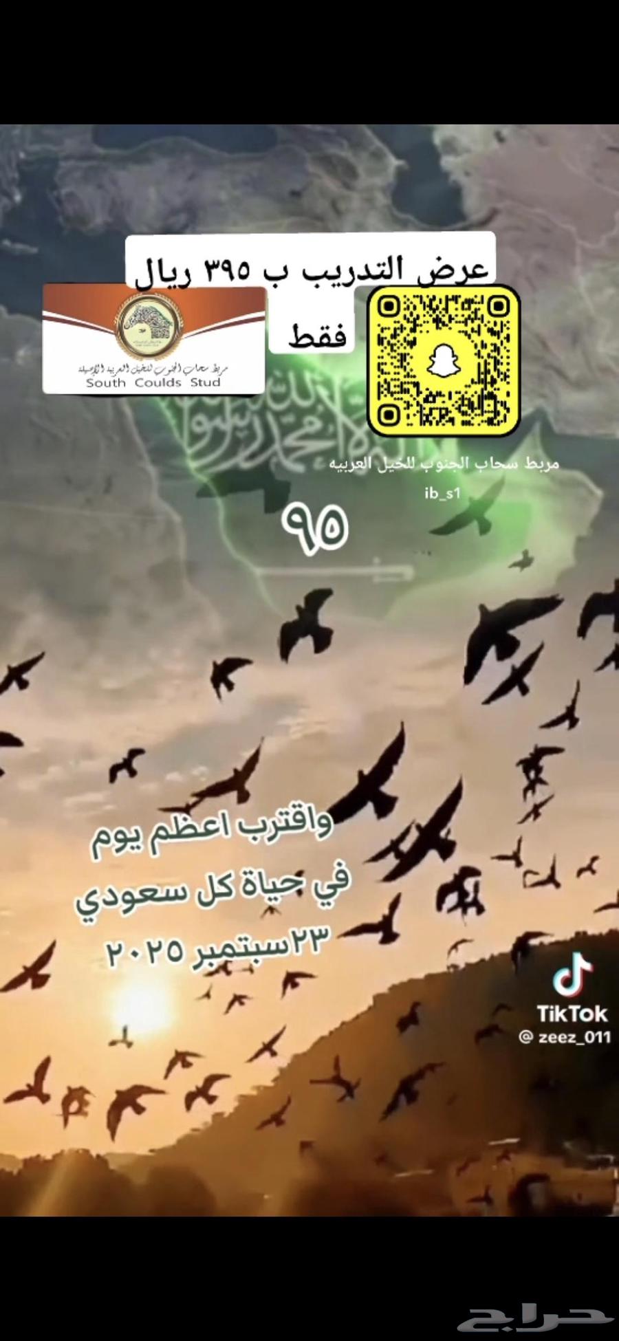 عرض اليوم الوطني 95 للتدريب ركوب الخيل بخميس مشيط64553468162818110