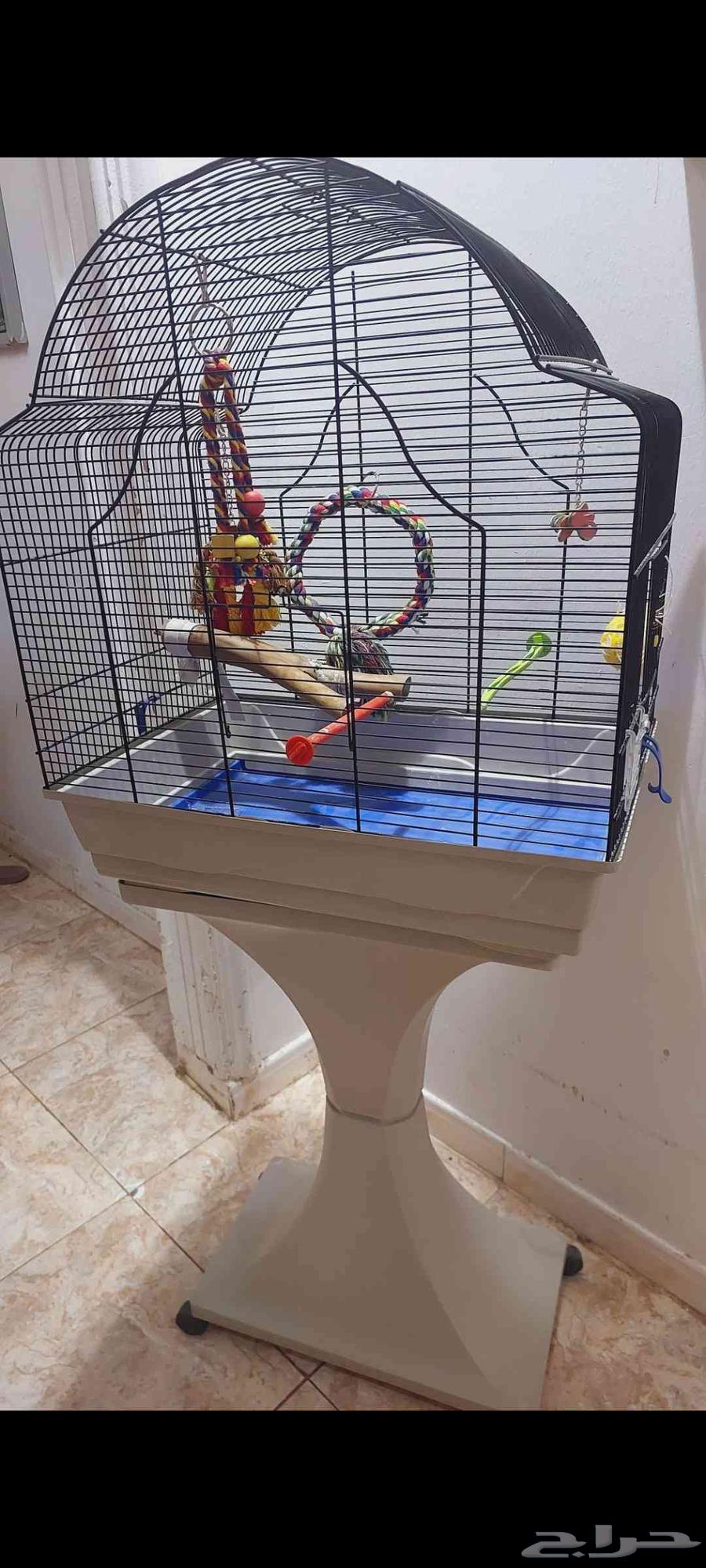 قفص ببغاء وقفص كناري64556441343489110