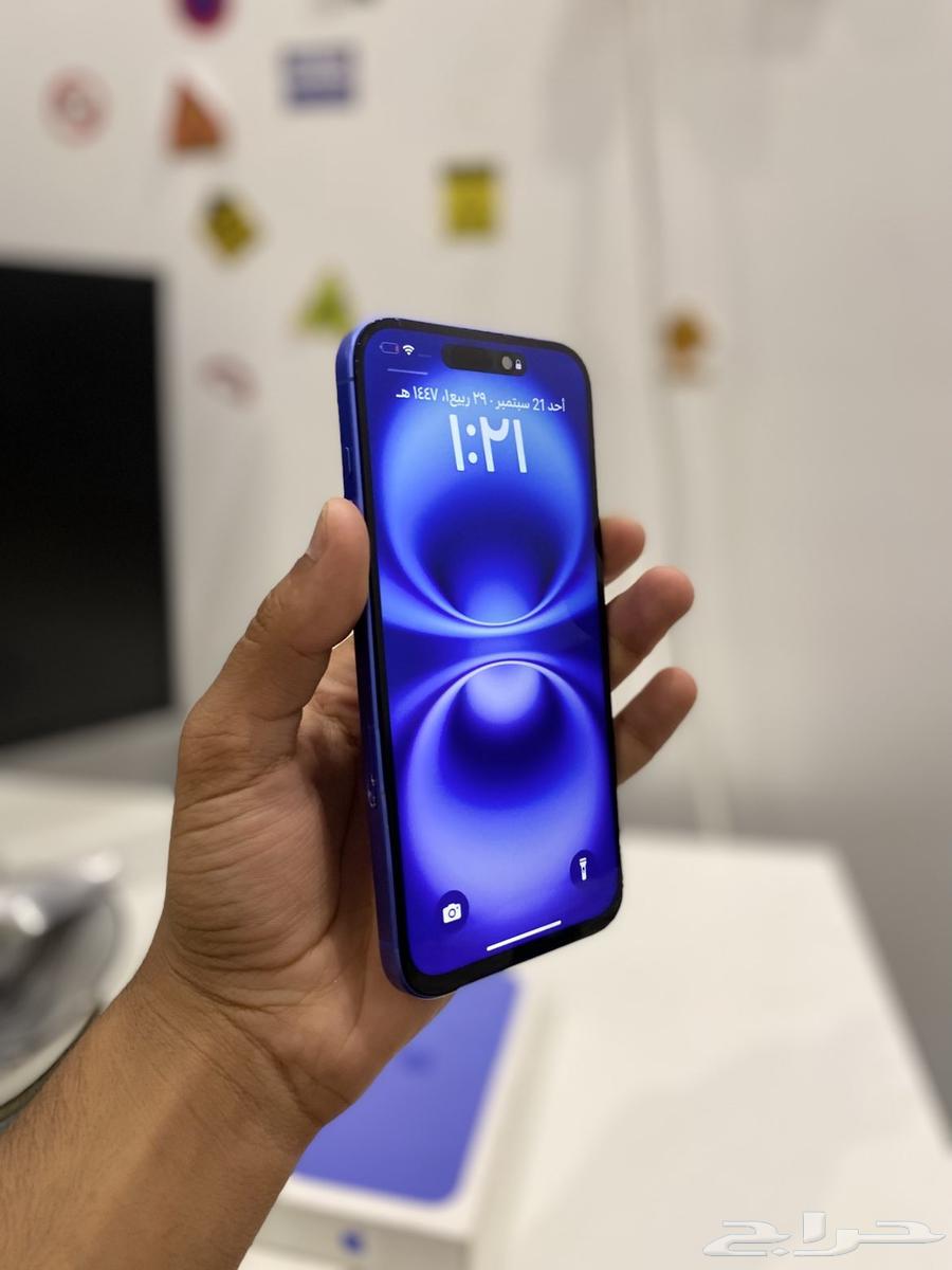 Auction for iPhone 16 Plus, don't miss it64560684339331114