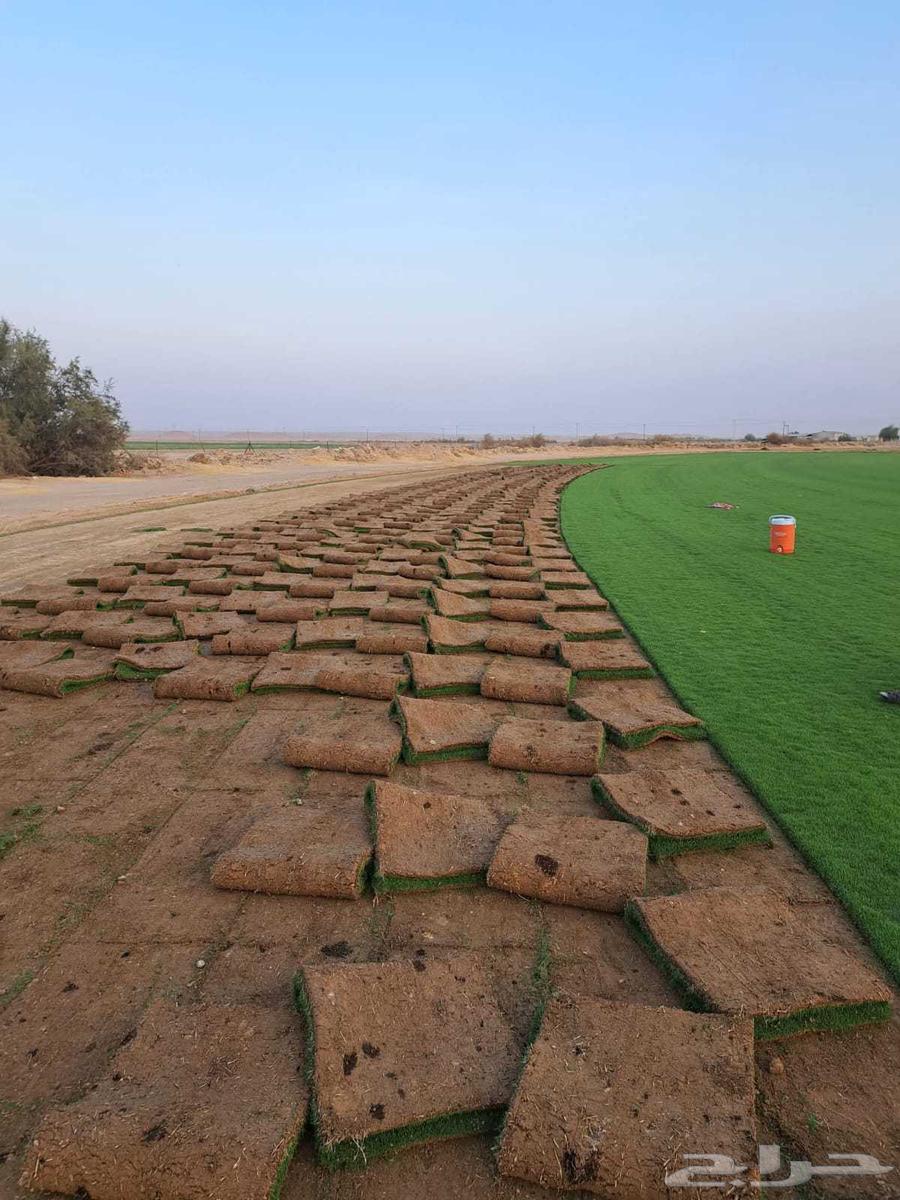 ثيل درجه اولى فرنسي وسي الفين ورود مستديمه64561699494017111