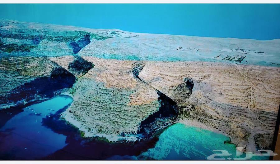 شاشة سوني 55 بوصة64560823959809110