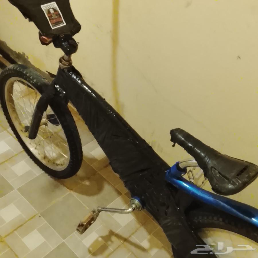 سيكل كوبرا جديد ماناقصه شي والله الحمد للبيع 10064529655342209111