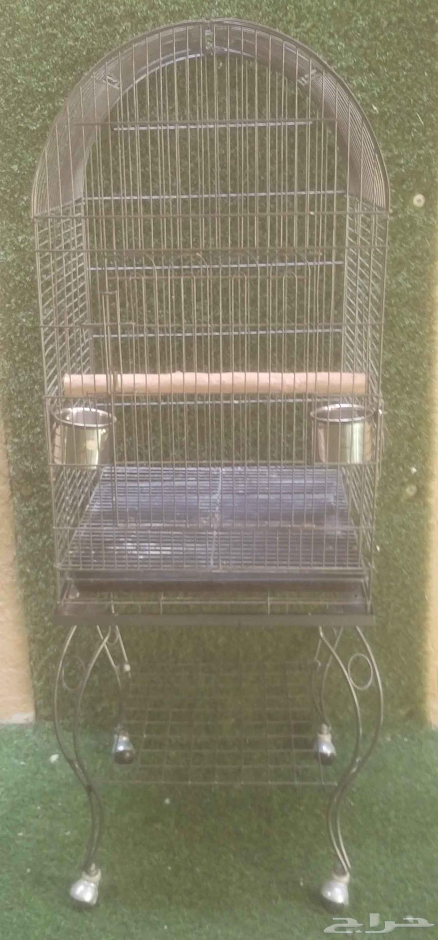 فقص بغبغان كاسكو64561685618817111