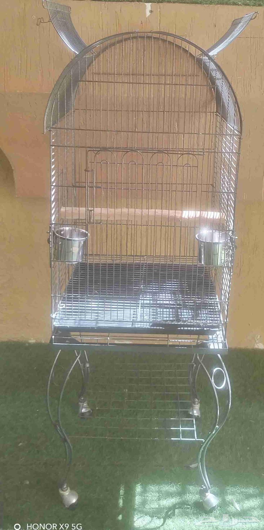 فقص بغبغان كاسكو64561685618817114