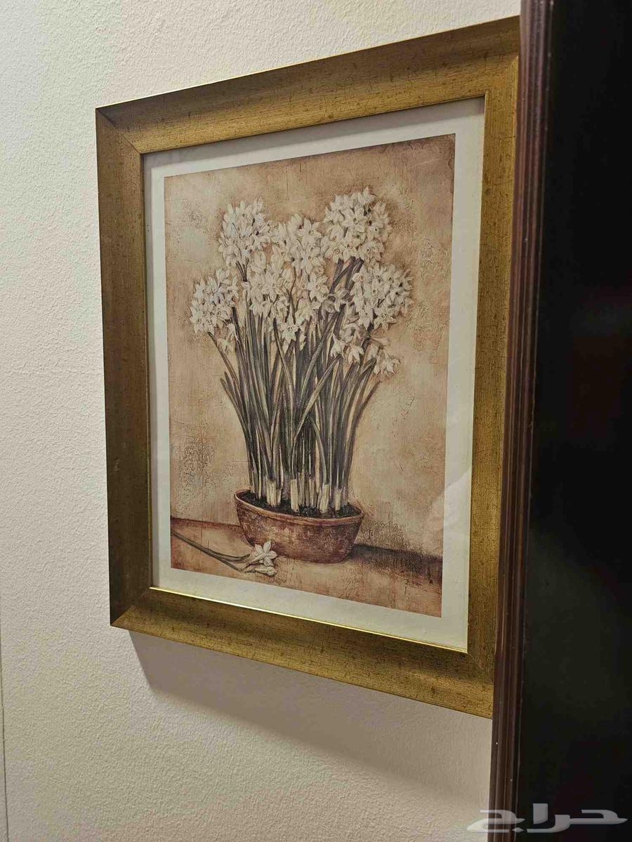 Portrait Drawing Board64557001775107112