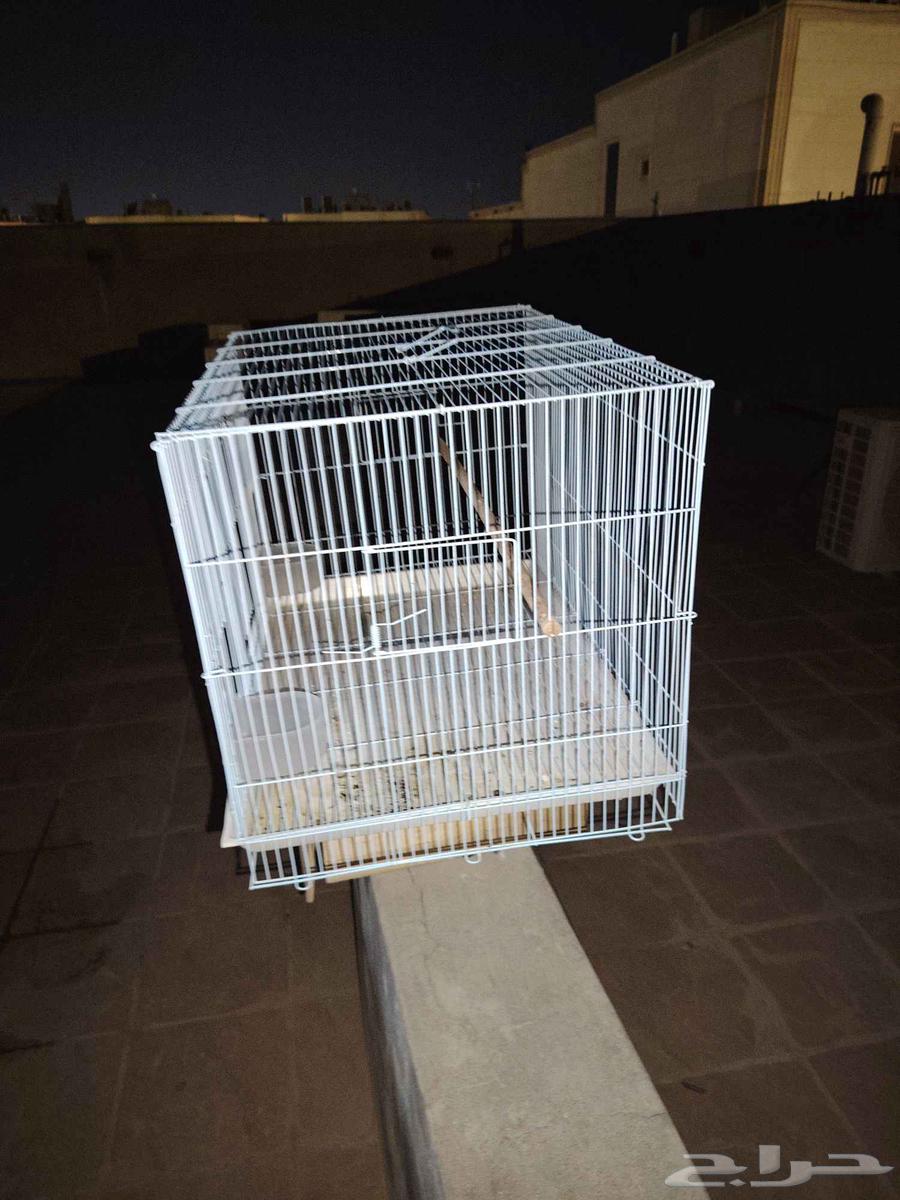 للبيع بياضه نظيفه وقفص 601 نظيف تم البيع64559659608449114