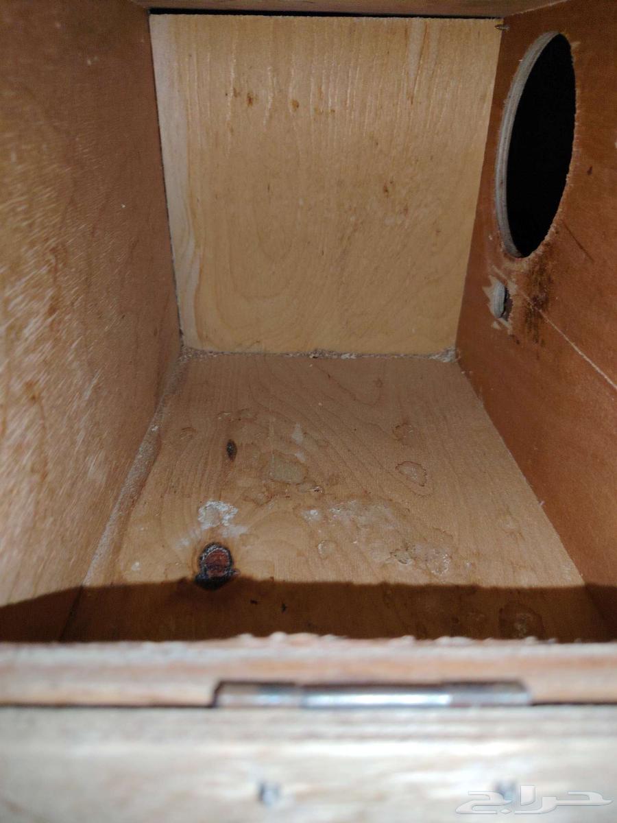 للبيع بياضه نظيفه وقفص 601 نظيف تم البيع64559659608449112