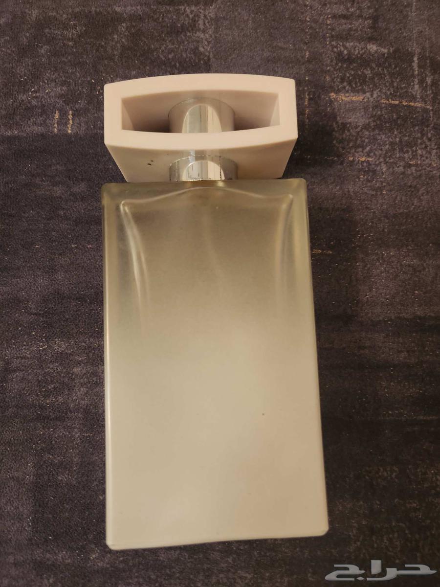 عطور مستوحاه من ماركات عالميه بخصم 50 بالميه64559379782658110