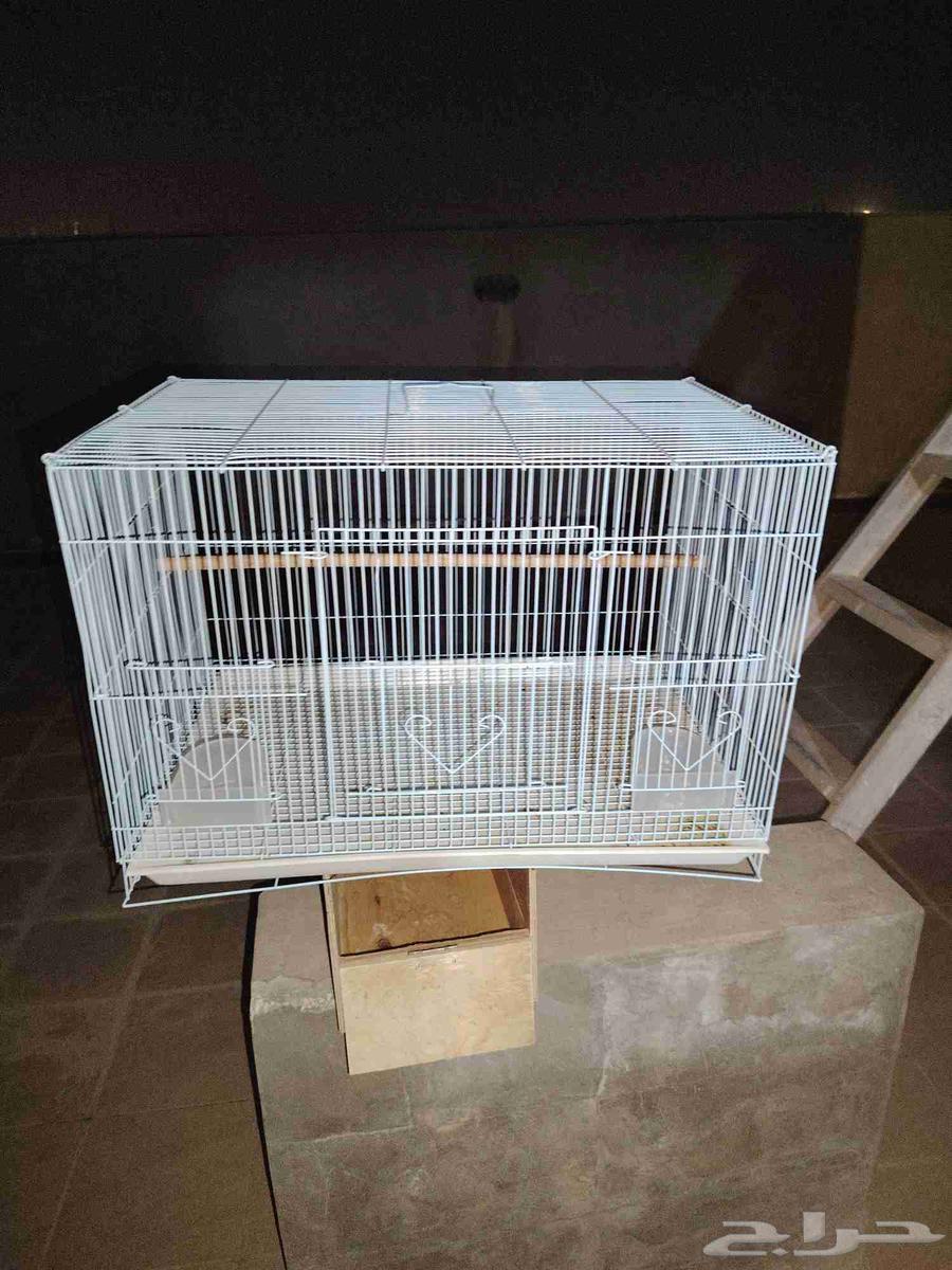 للبيع بياضه نظيفه وقفص 601 نظيف تم البيع64559659608449113