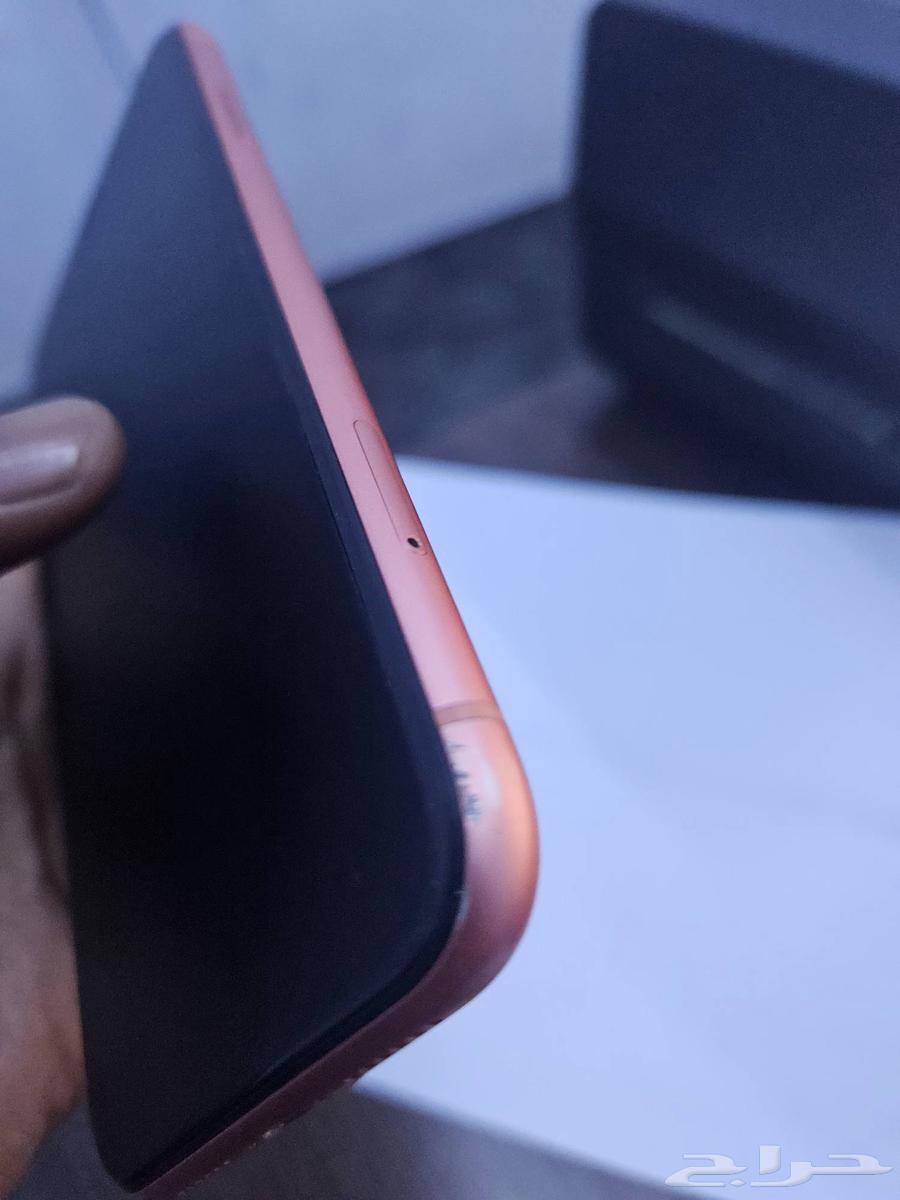 iPhone XR64561559928193113