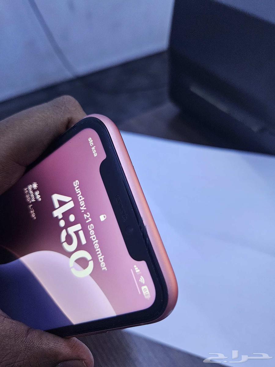 iPhone XR64561559928193112