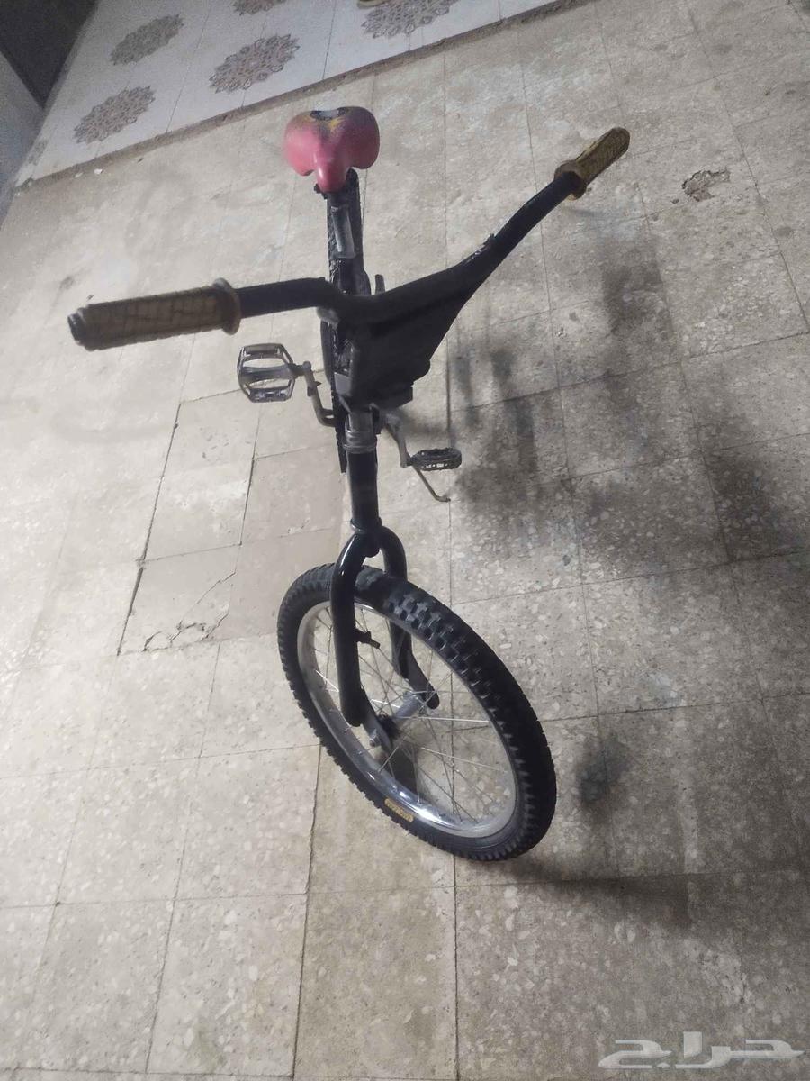 سيكل كوبرا جديد مافيه اي شي مسيوم 150التواصل خاص.64562193422338114