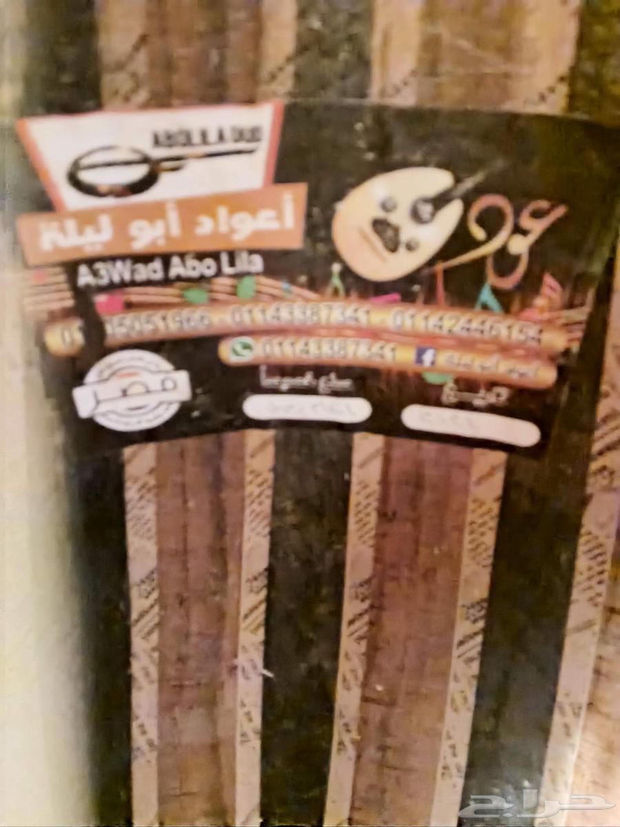 عود جديد للبيع64554300691586110