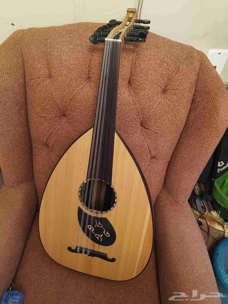 عود جديد للبيع64554300691586113