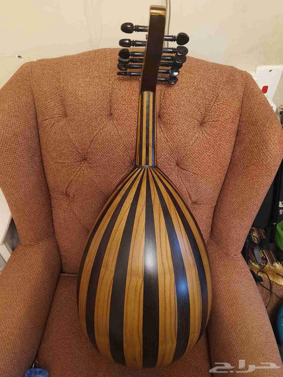 عود جديد للبيع64554300691586112