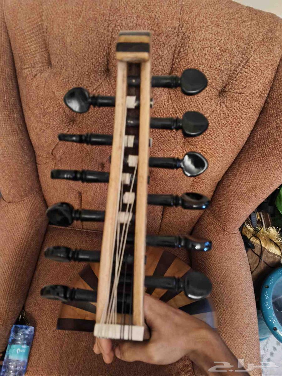 عود جديد للبيع64554300691586111