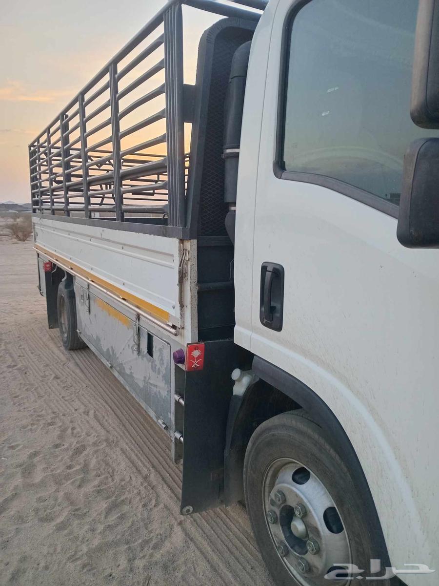 Dana Dina 5 meters for trips, transportation, and delivery64514692553219110