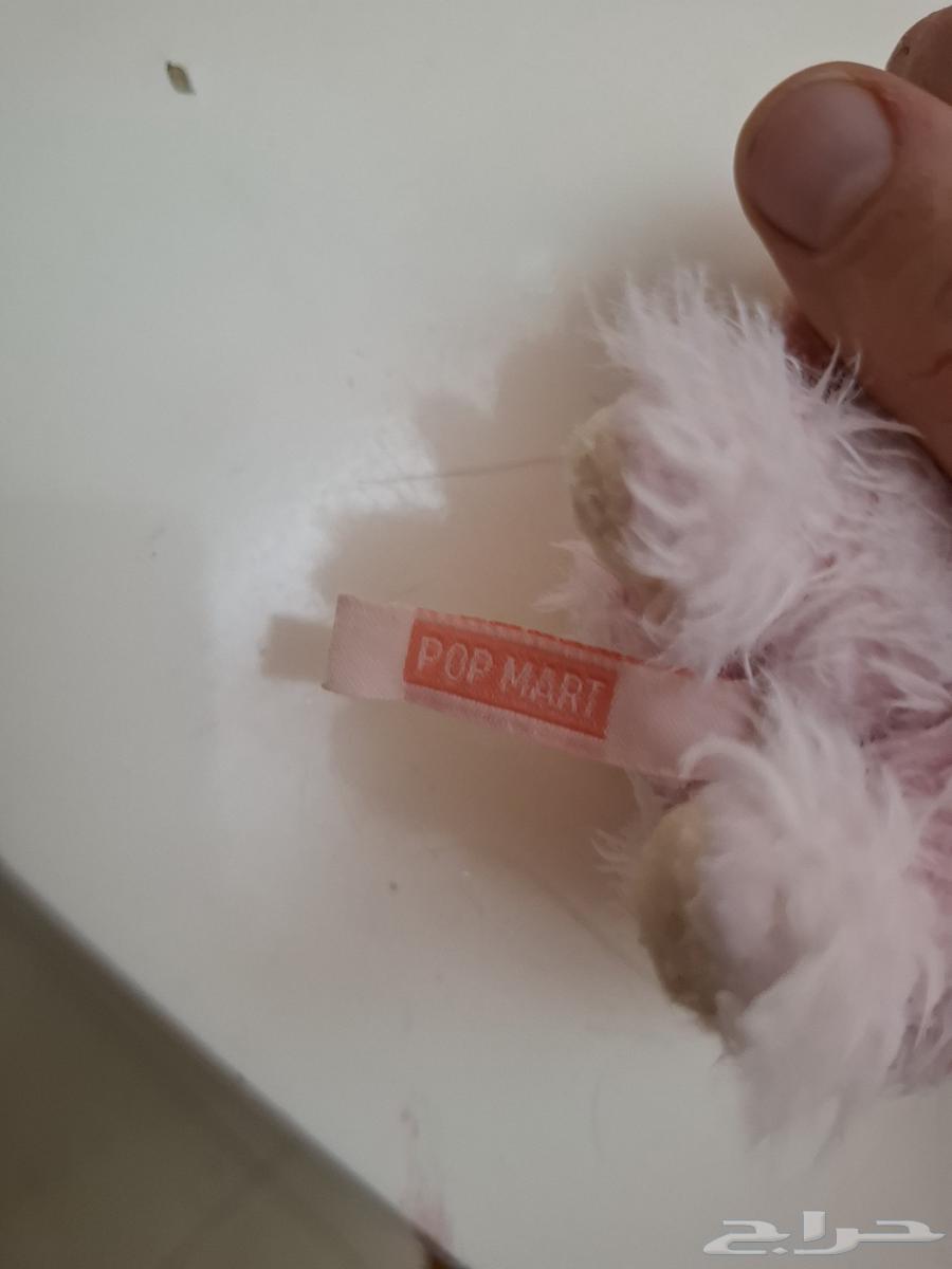 Hello and blessings of God and His mercy to Abobo, the original price is 5064556959049859113