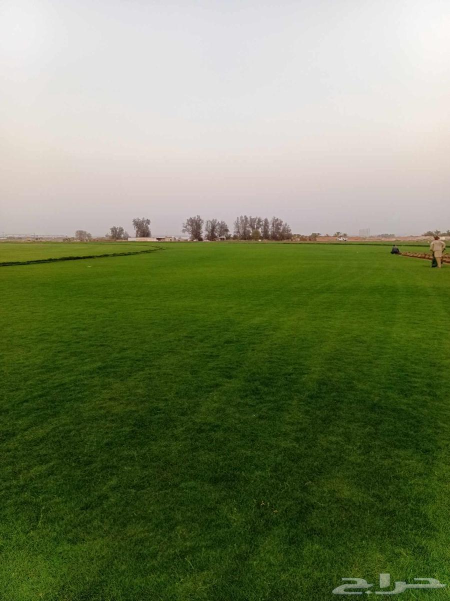 Thil C 2000 Pure and Natural, Al-Kharj Location64554885974275111